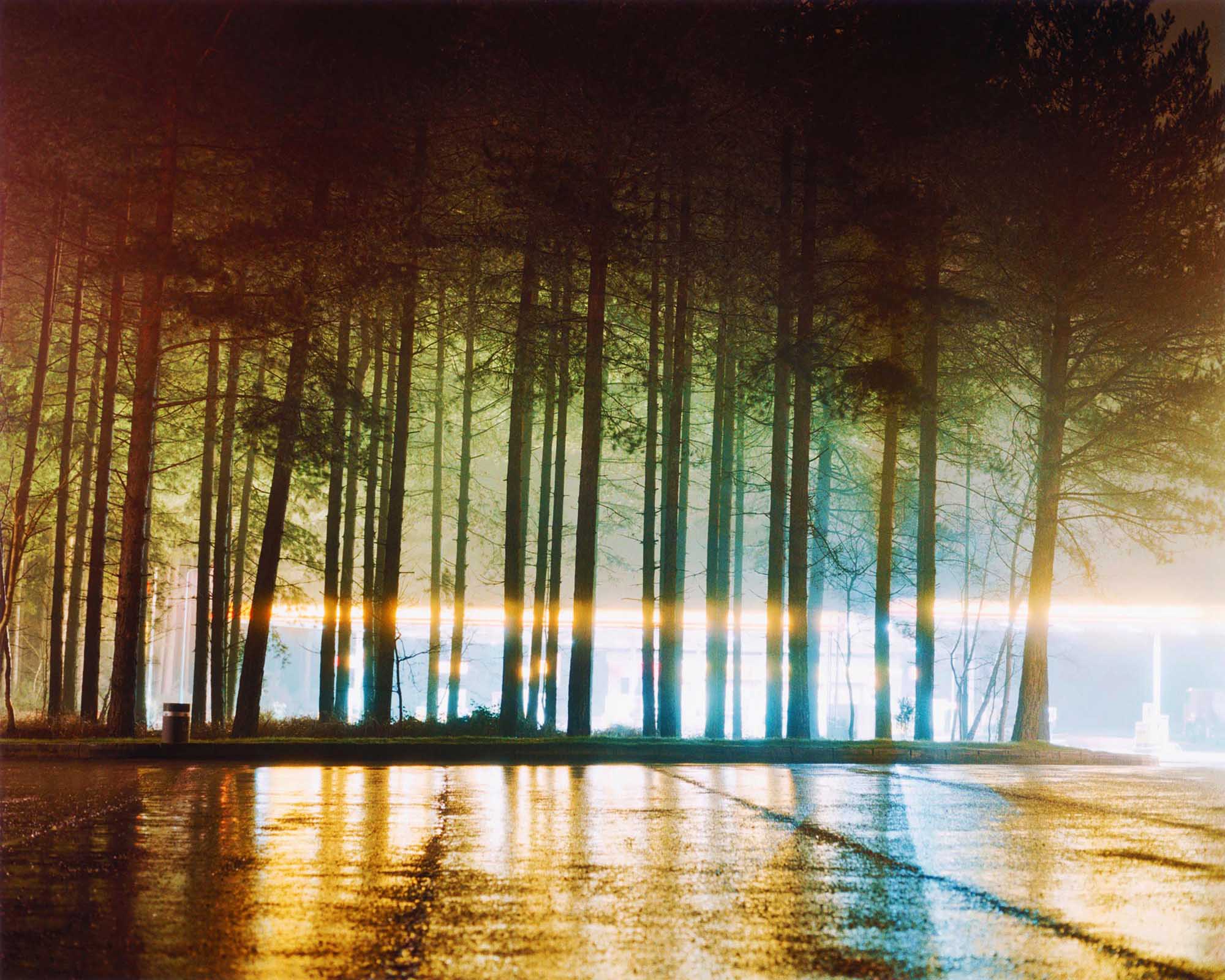 A line of tall pine trees at night, silhouetted against a bright, horizontal light streak from a service station glowing at night. The vibrant golden and blue light reflects across the wet, shimmering pavement in the foreground. rt photography by photographer Ben Stockley.