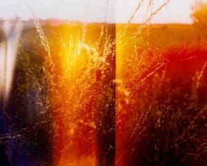http://Landscape%20image%20of%20golden%20hour%20light%20showing%20thistles,%20grasses,%20field%20and%20horizon%20with%20strong%20orange%20light%20flare%20for%20Apple%20commission%20by%20British%20photographer%20Ben%20Stockley