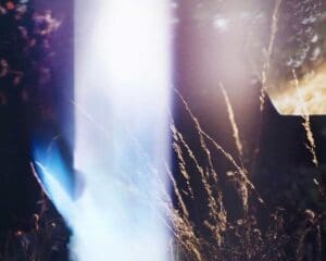 http://Abstract%20close-up%20photography%20of%20grasses%20with%20strong%20blue%20light%20flare%20by%20British%20photographer%20Ben%20Stockley.