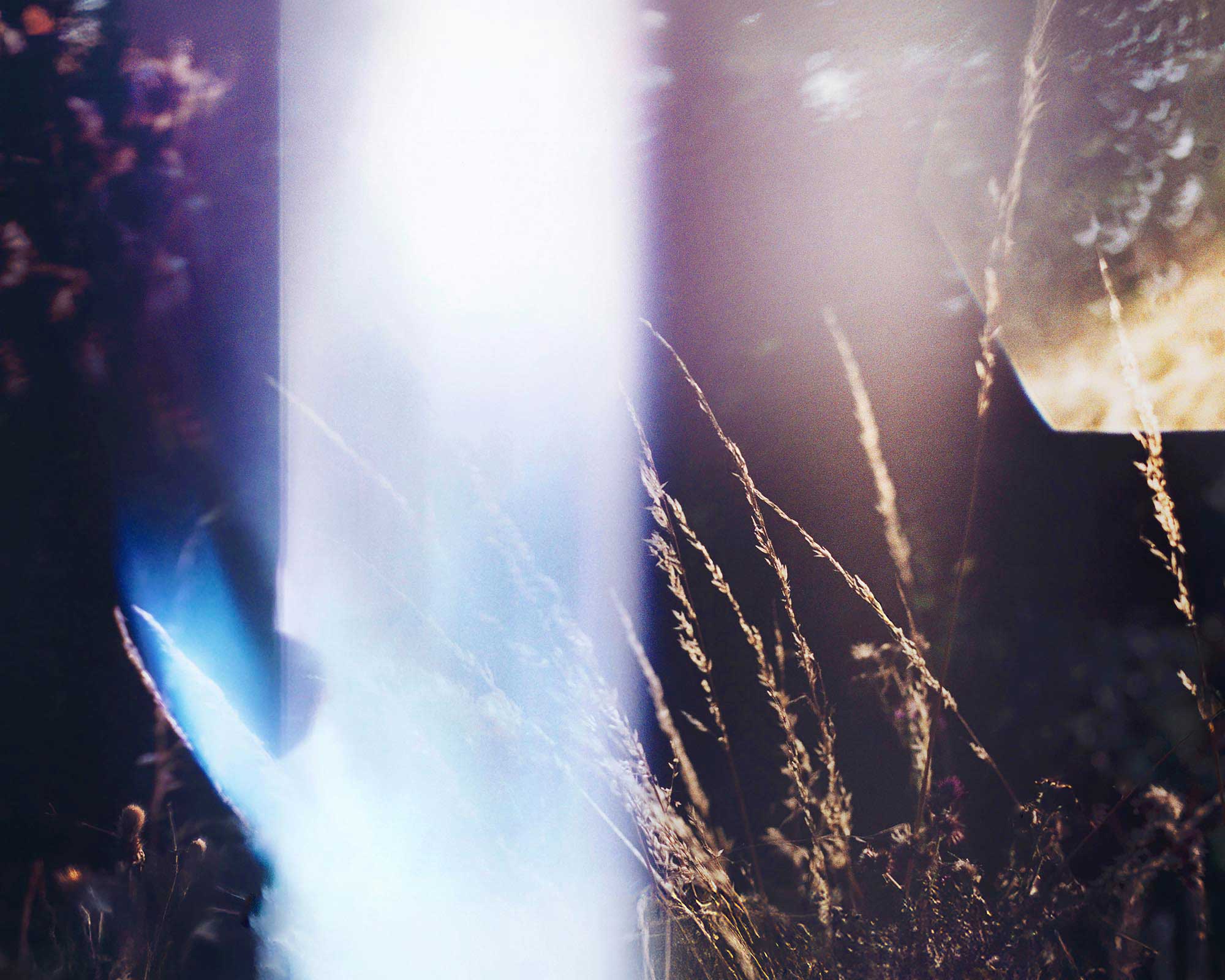 http://Abstract%20close-up%20photography%20of%20grasses%20with%20strong%20blue%20light%20flare%20by%20British%20photographer%20Ben%20Stockley.
