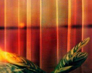 http://Close-up%20of%20a%20mesh%20curtain%20backlit%20by%20warm%20orange%20and%20yellow%20light,%20with%20blurred%20green%20plant%20leaves%20in%20the%20foreground