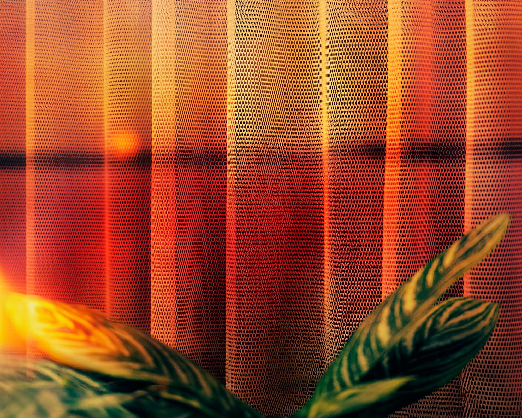 http://Close-up%20of%20a%20mesh%20curtain%20backlit%20by%20warm%20orange%20and%20yellow%20light,%20with%20blurred%20green%20plant%20leaves%20in%20the%20foreground
